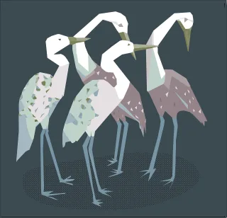 Birds Herons Nature Stickdatei