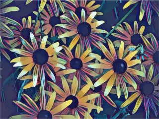 Spring Floral Black eyed susan Stickdatei