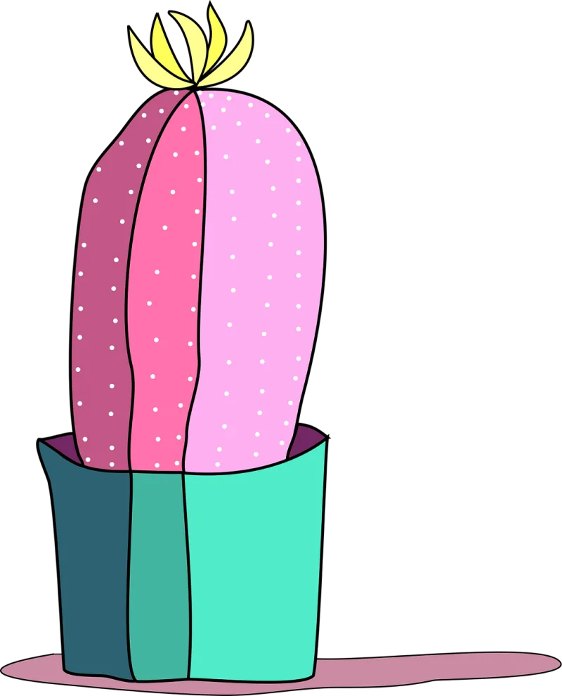 Cactus Pink cactus Cactus illustration Stickdatei – Natur