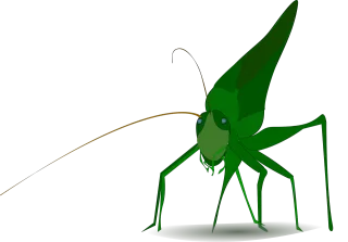 Grasshopper Insect Green Stickdatei