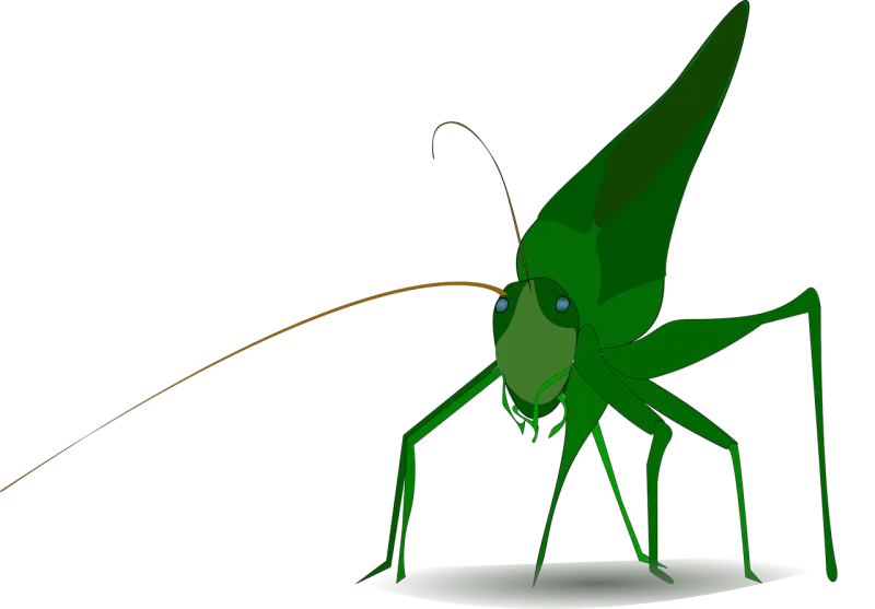 Grasshopper Insect Green Stickdatei – Tiere