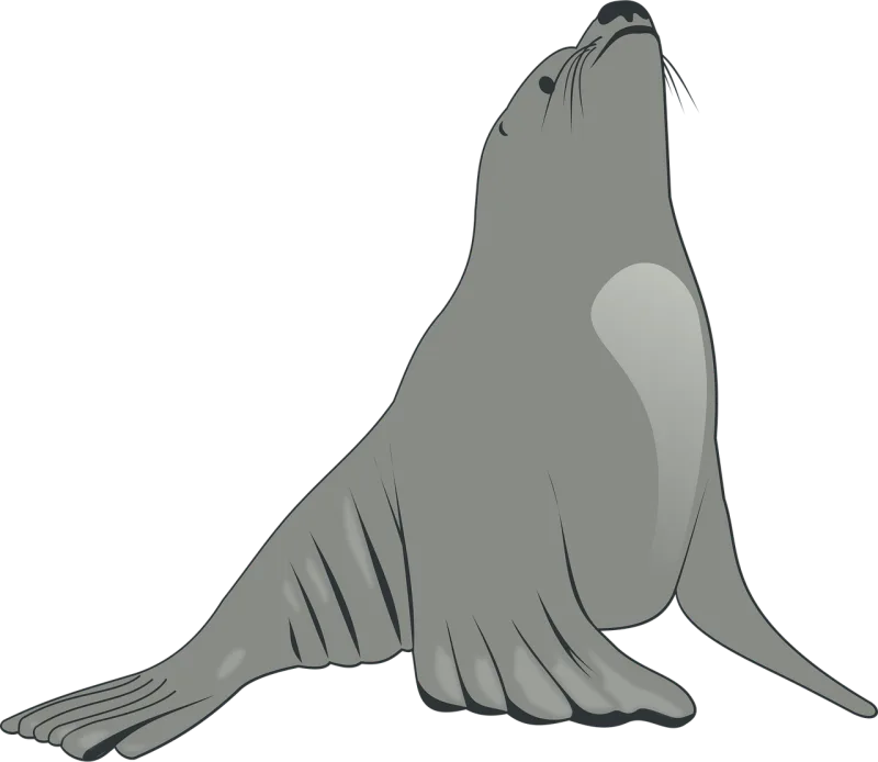 Sea Lion Animal Stickdatei – Tiere