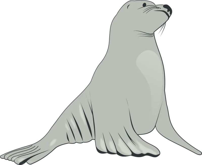 Sea lion Nature Mammals Stickdatei – Tiere
