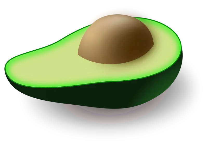 Avocado Fruit Green Stickdatei – Essen & Trinken