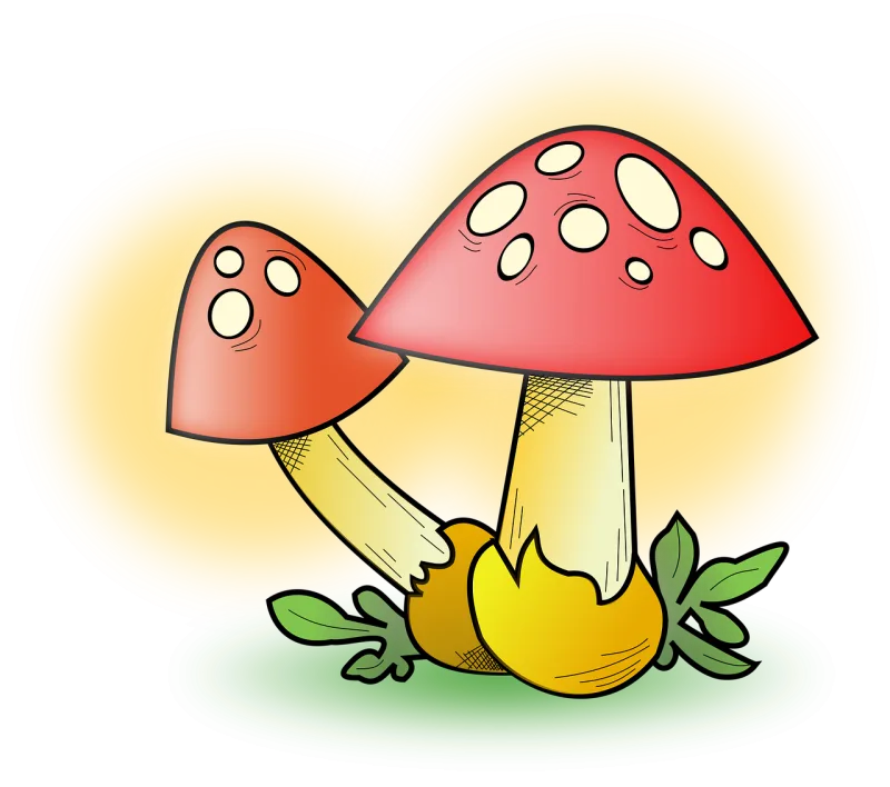 Mushrooms Red Plant Stickdatei – Natur
