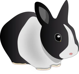 Rabbit Animal Black and white Stickdatei