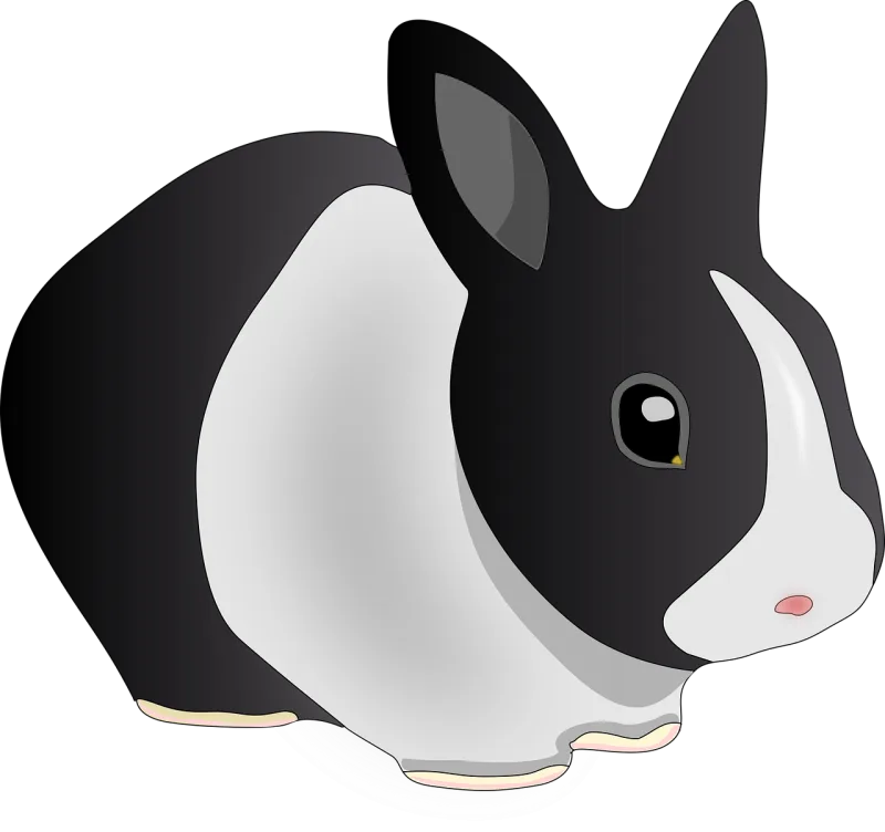 Rabbit Animal Black and white Stickdatei – Tiere