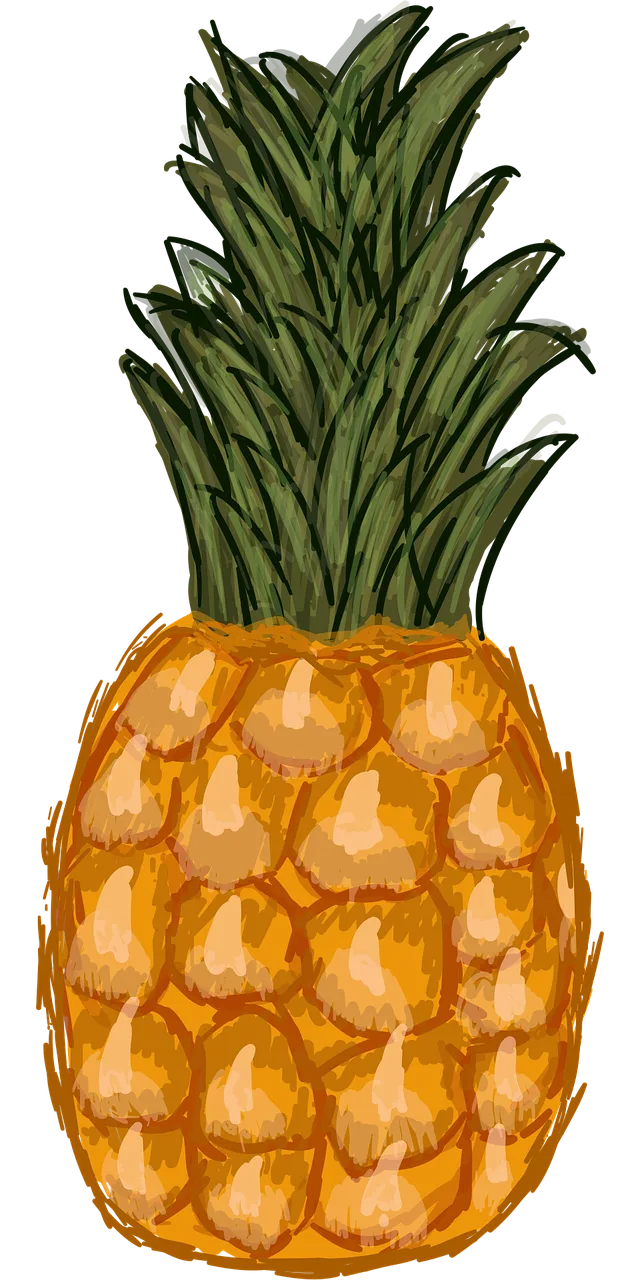 Pineapple Hand drawn Tropical fruit Stickdatei – Essen & Trinken