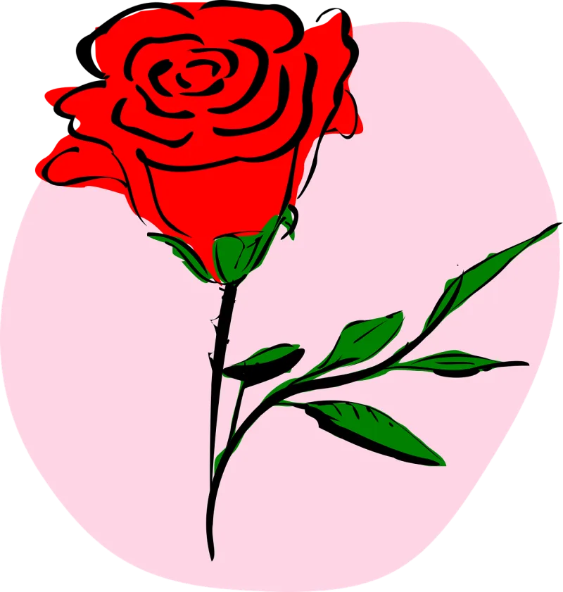 Rose Rosa Rose flower Stickdatei – Blumen