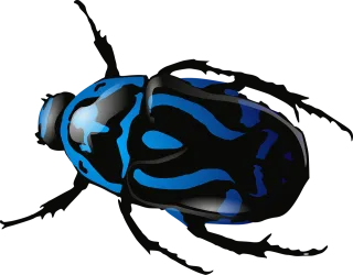 Beetle Insect Animal Stickdatei