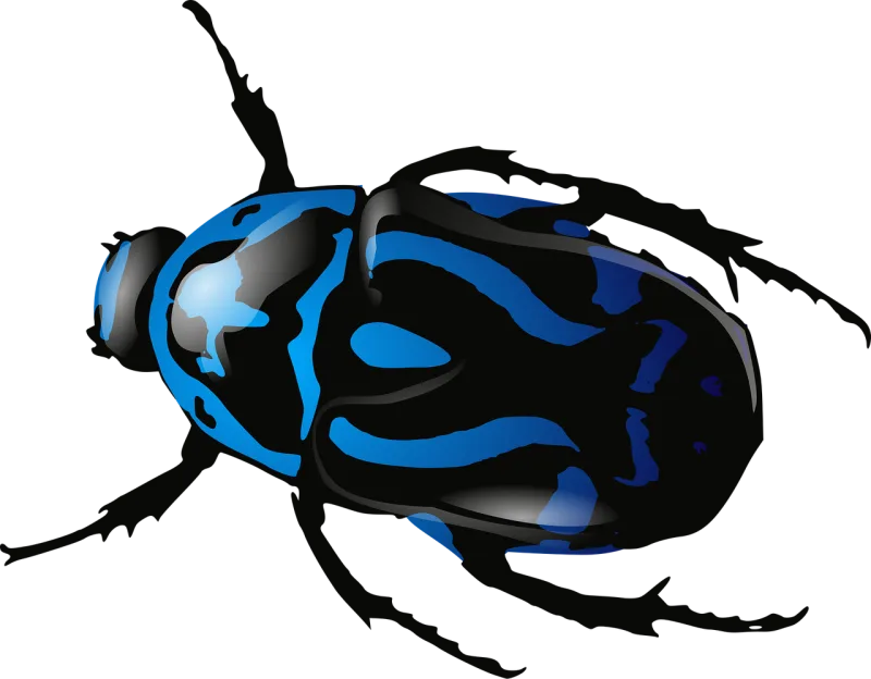 Beetle Insect Animal Stickdatei – Tiere