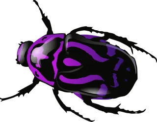 Beetle Bug Insect Stickdatei