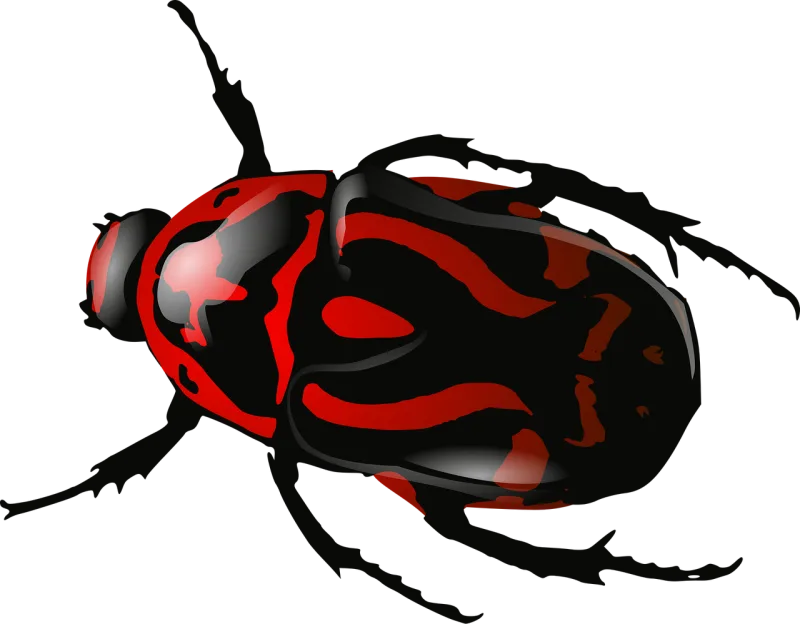Bug Insect Beetle Stickdatei – Tiere