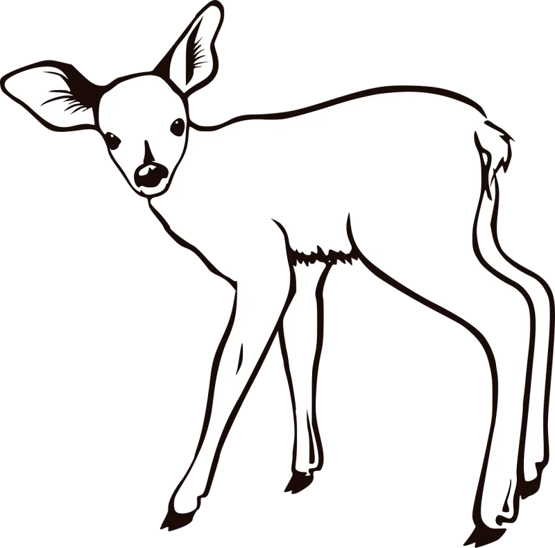 Deer Animal White Stickdatei – Tiere