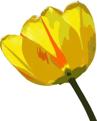 Flower Flowers Beautiful flowers Stickdatei