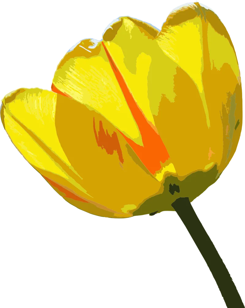 Flower Flowers Beautiful flowers Stickdatei – Blumen