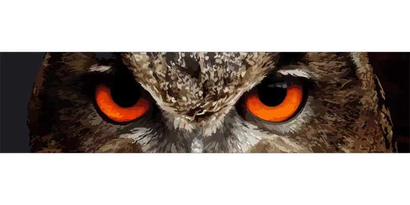 Owl Bird Eyes Stickdatei – Tiere