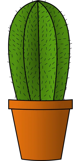 Cactus Green Plant Stickdatei