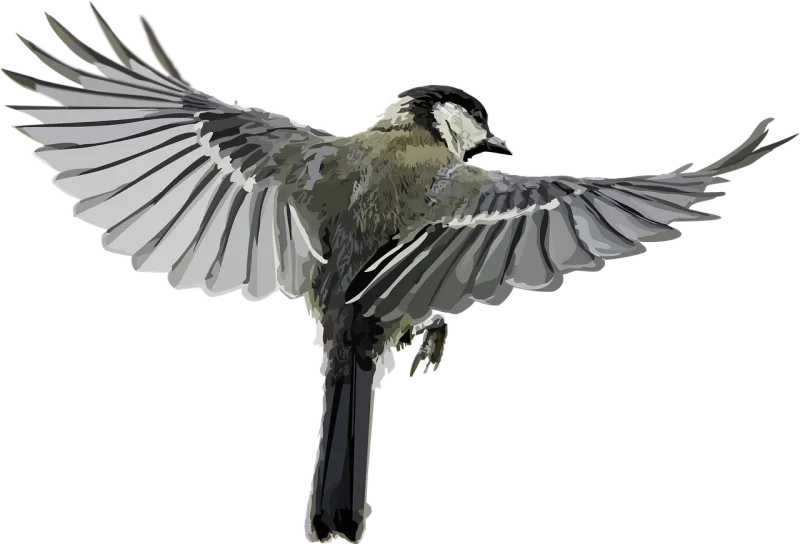 Animal Nature Bird Stickdatei – Tiere
