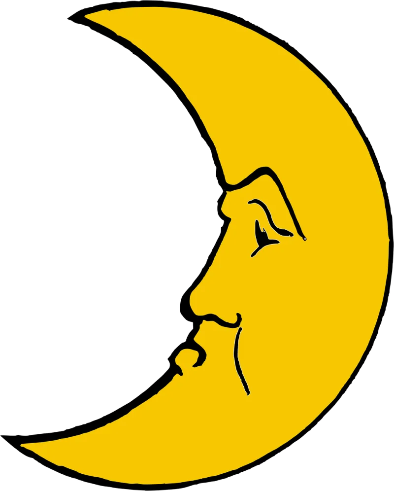 Moon Crescent Face Stickdatei – Natur
