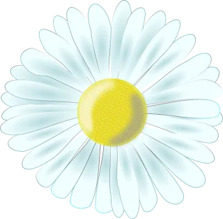 Daisy A thousand beautiful Composites Stickdatei – Blumen