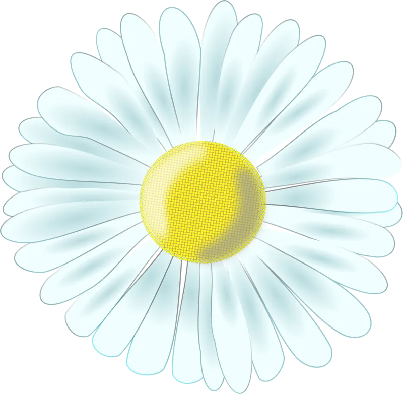 Daisy A thousand beautiful Composites Stickdatei – Blumen