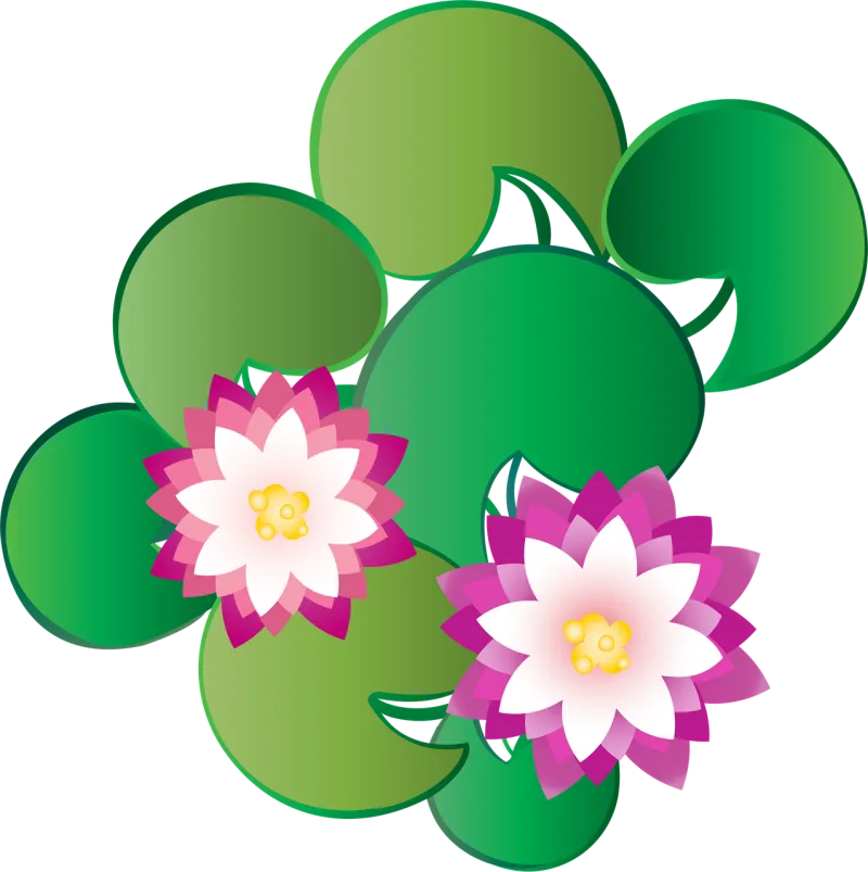 Graphic Lotus Kashmir Stickdatei – Blumen