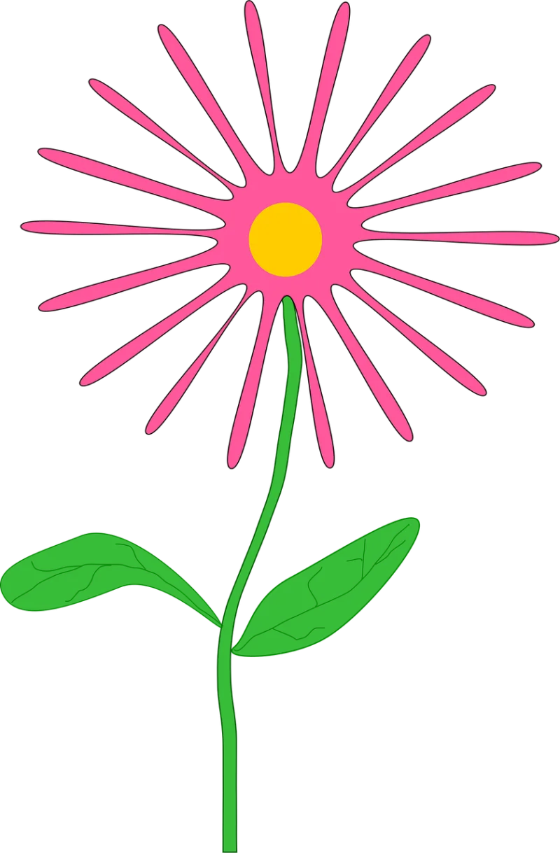 Flower Daisy Pink Stickdatei – Blumen