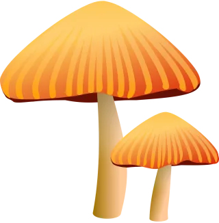 Mushrooms Brown Toadstool Stickdatei
