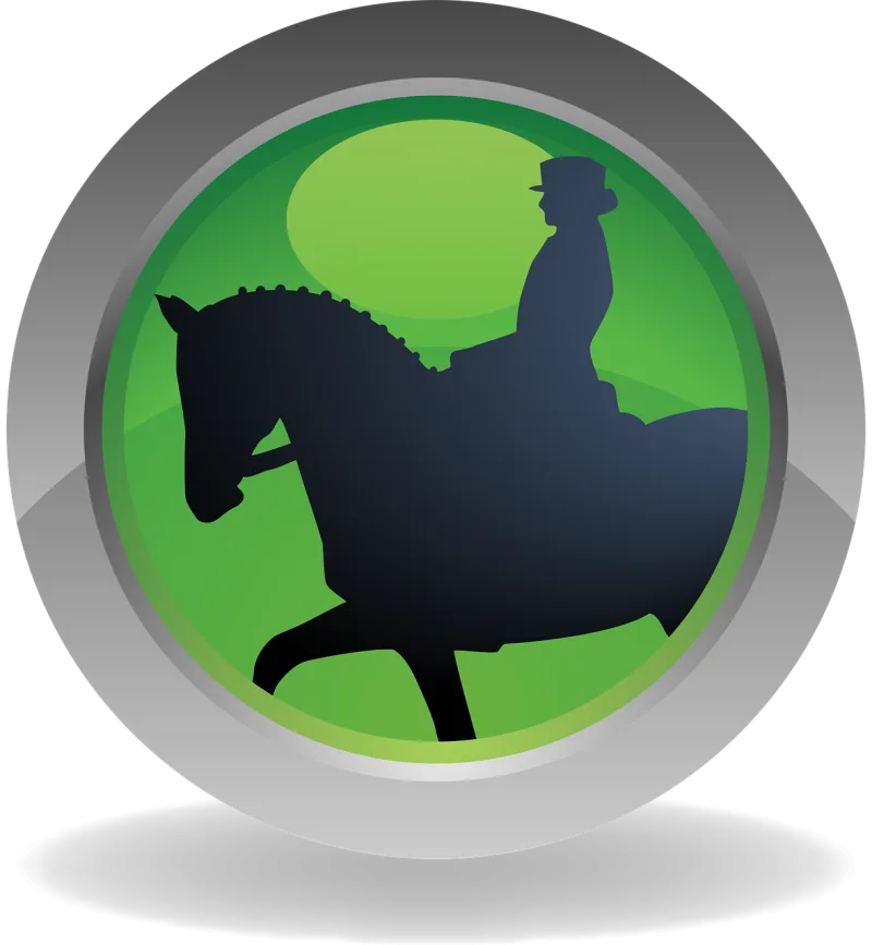 Sport Icon Horse Stickdatei – Tiere