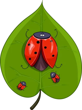 Sheet Beetle Ladybug Stickdatei