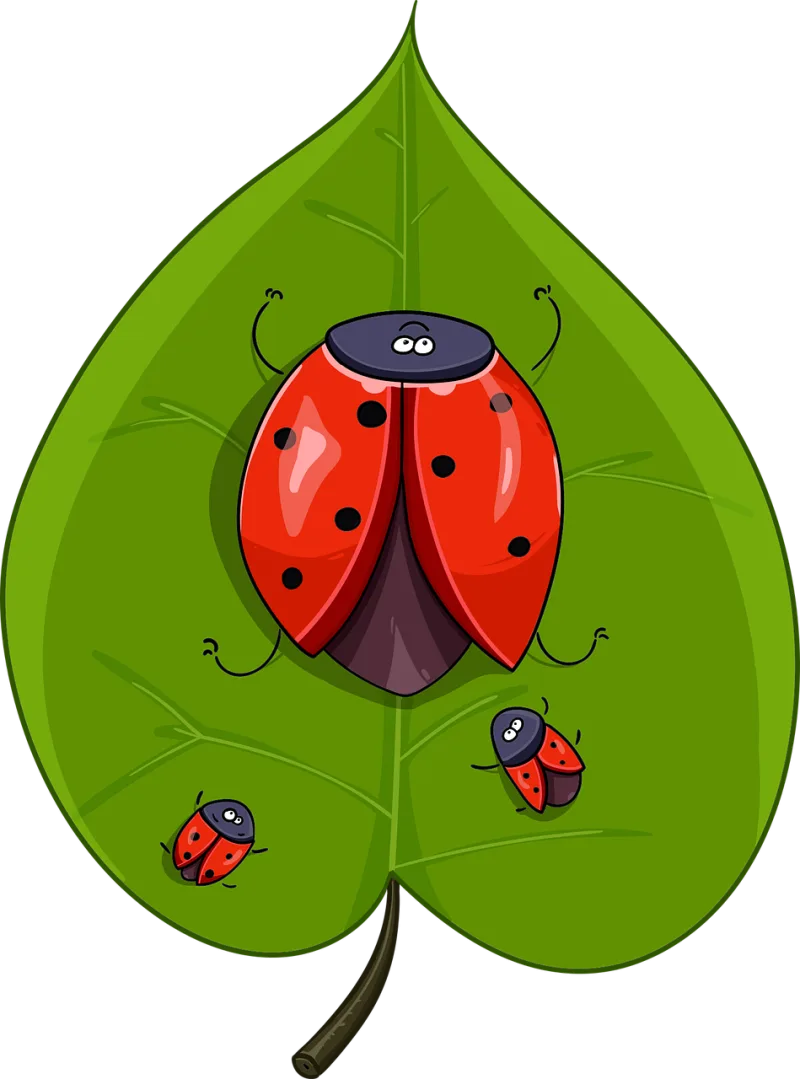 Sheet Beetle Ladybug Stickdatei – Tiere