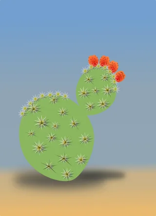 Cactus Desert Dry Stickdatei
