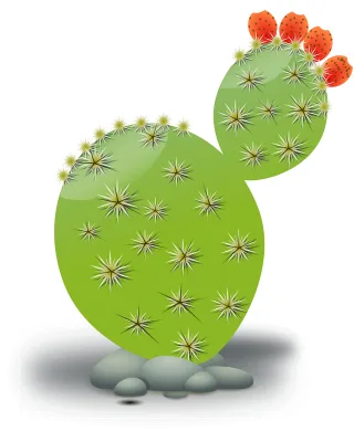 Cactus Green Desert Stickdatei