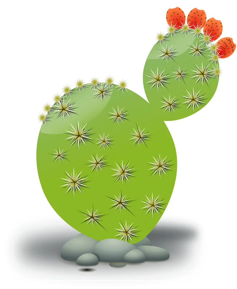 Cactus Green Desert Stickdatei – Natur