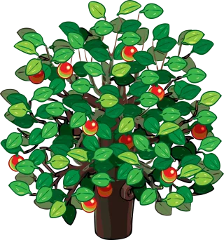 Tree Apple tree Apple Stickdatei