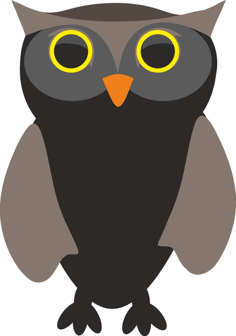 Owl Owls Bird Stickdatei – Tiere