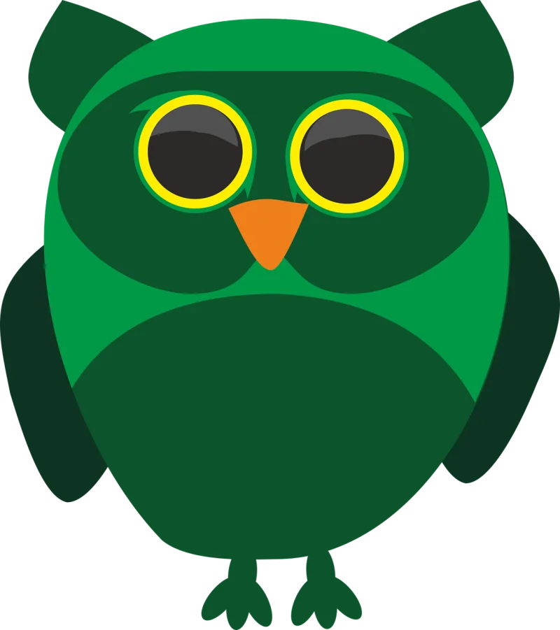 Owl Owls Bird Stickdatei – Tiere