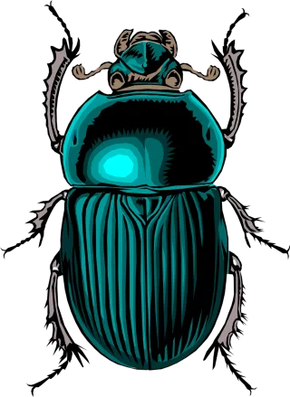 Beetle Insect Bug Stickdatei