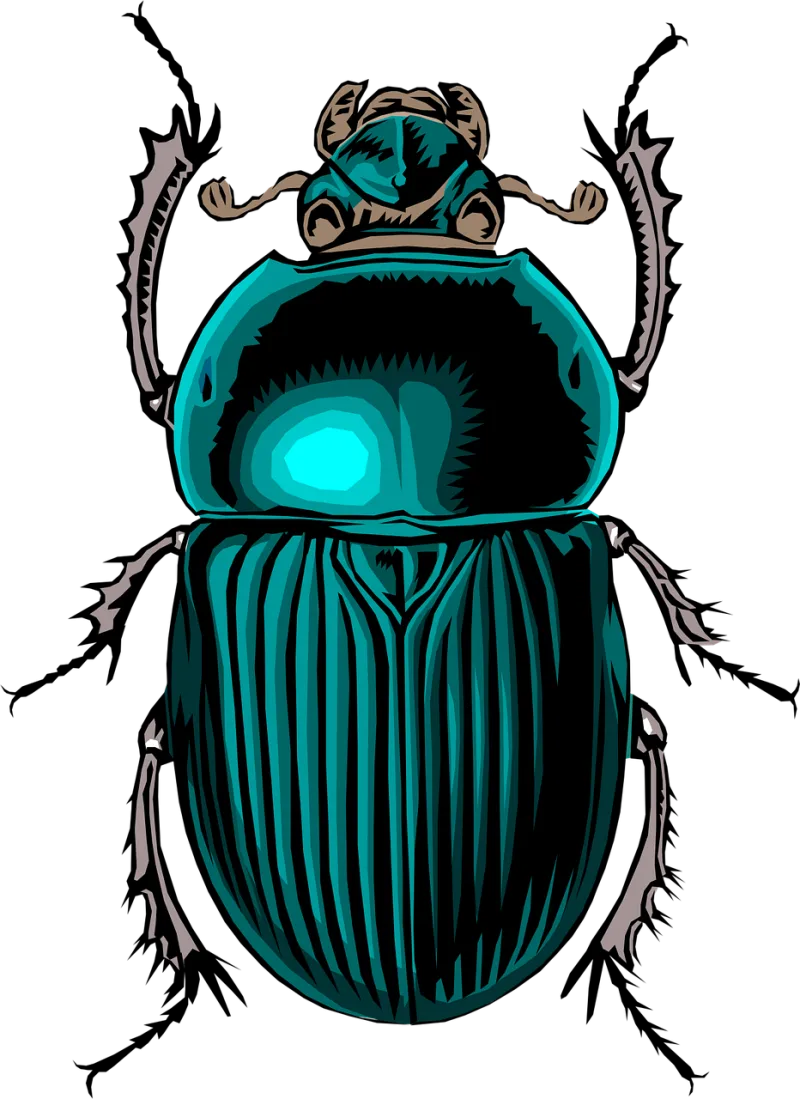 Beetle Insect Bug Stickdatei – Tiere