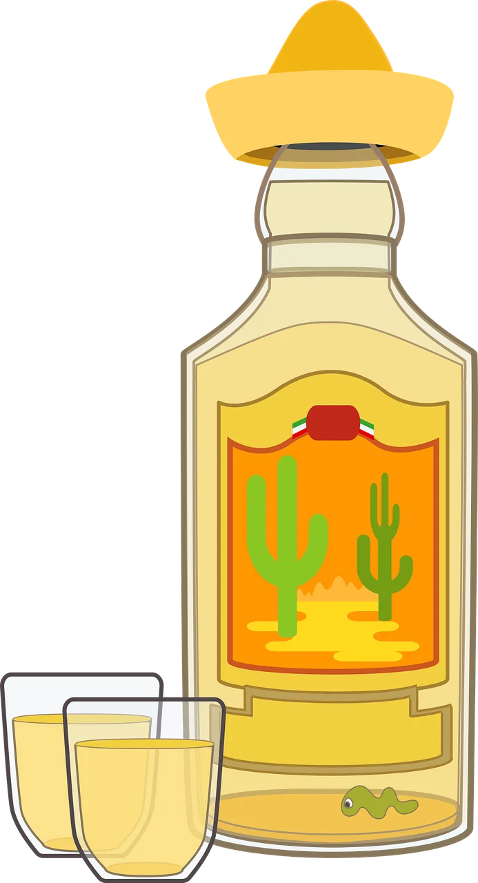 Graphic Tequila Tequila bottle Stickdatei – Natur
