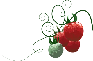 Tomato Fruit Food Stickdatei
