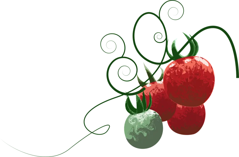Tomato Fruit Food Stickdatei – Essen & Trinken