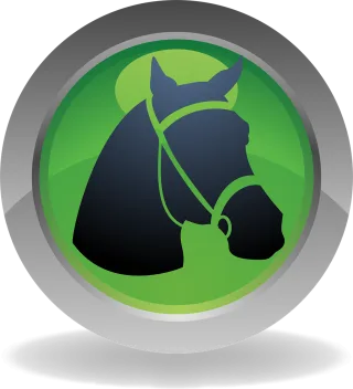Sport Horse Nature Stickdatei