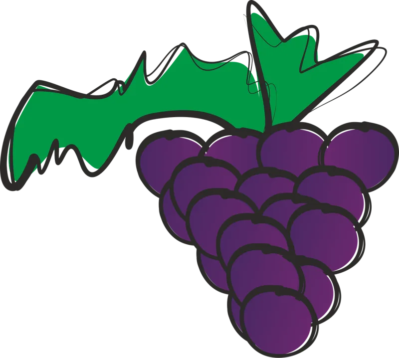 Bunch of grapes Grapes Fruit Stickdatei – Essen & Trinken