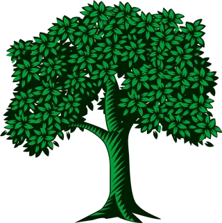 Tree Leaves Green Stickdatei