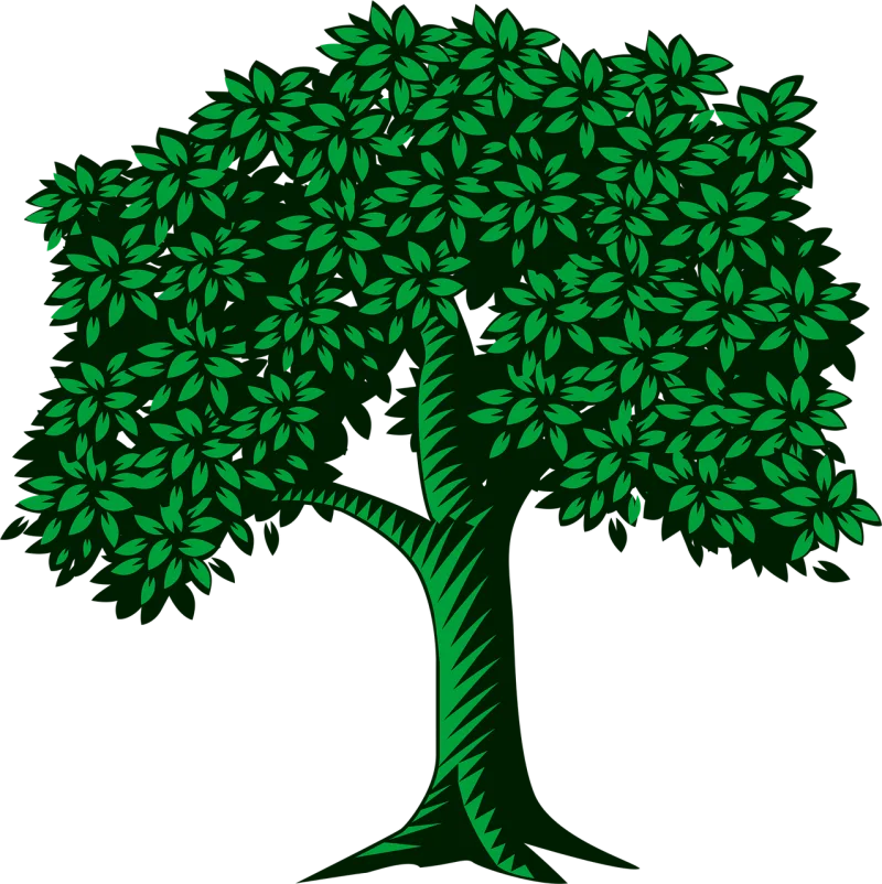 Tree Leaves Green Stickdatei – Natur