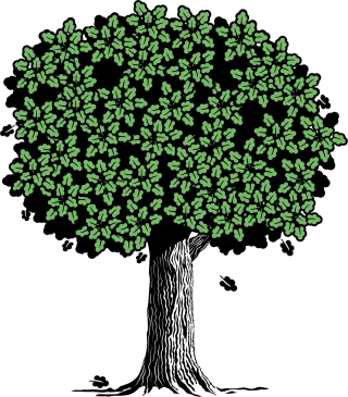 Tree Green Nature Stickdatei
