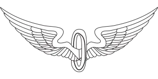 Wings Bird wings Eagle wings Stickdatei – Weihnachten