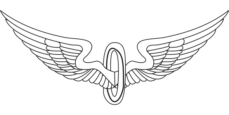 Wings Bird wings Eagle wings Stickdatei – Weihnachten